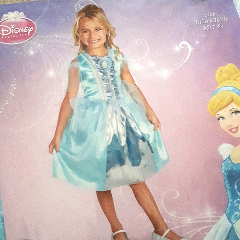 Disney Princess / Halloween costume/ Cinderella